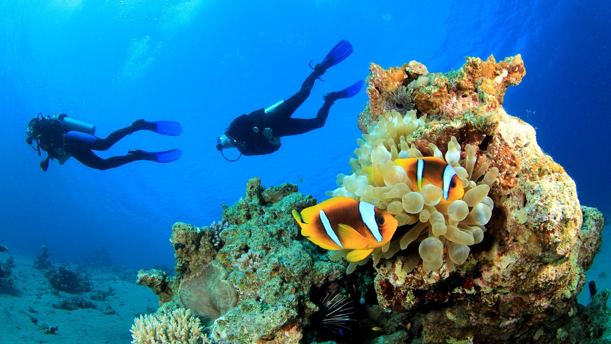Tauchen auf Curacao