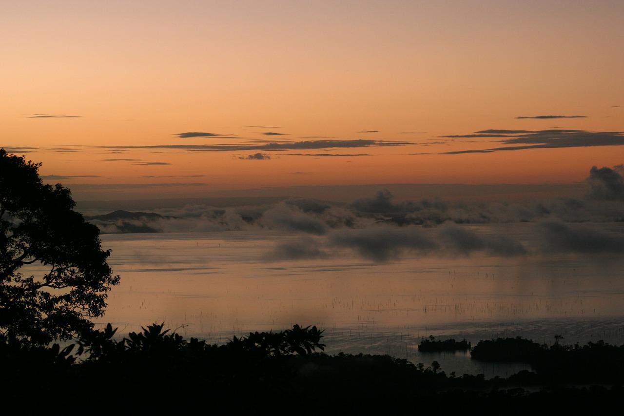 Blick in den Dschungel von Suriname