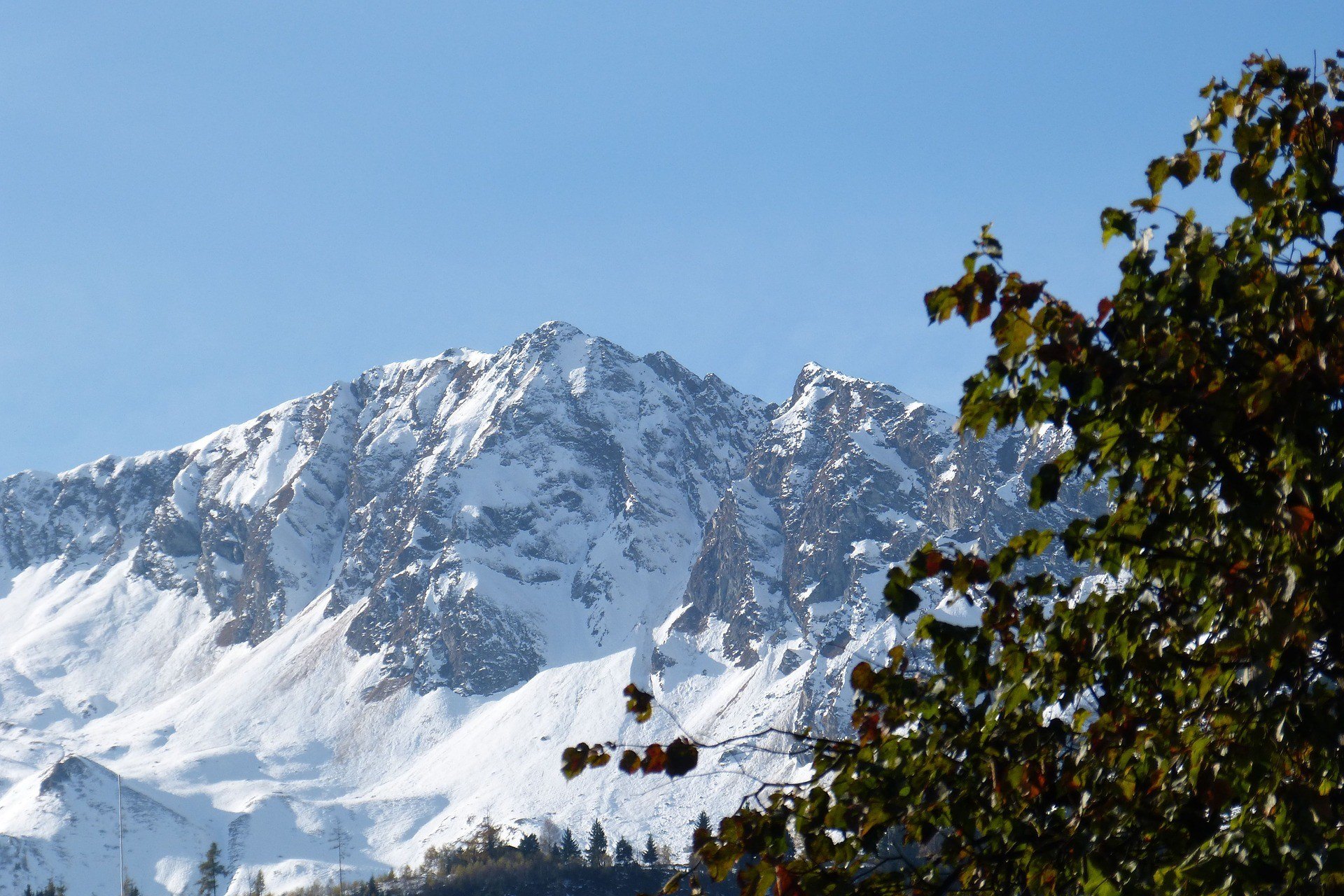Zolferkogel Saalbach Hinterglemm Österreich Schnee